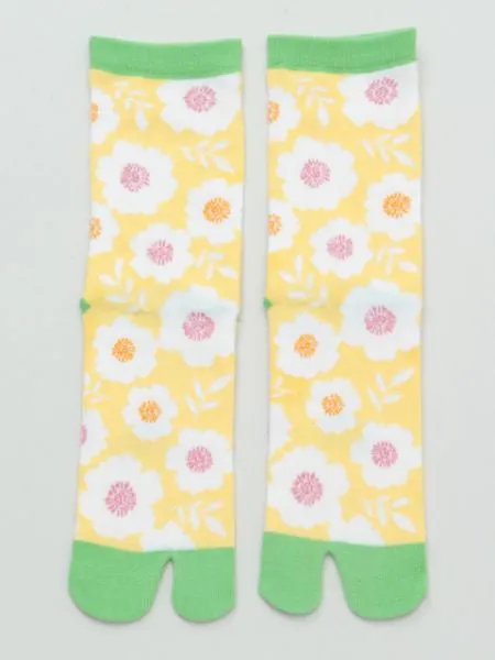 AOI TABI Socks 23～25cm