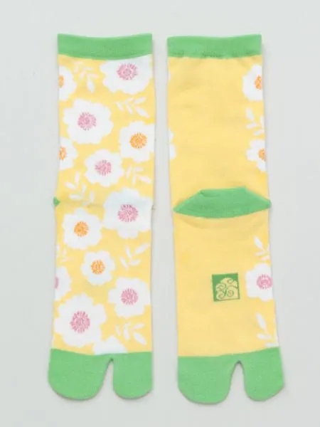 AOI TABI Socks 23～25cm