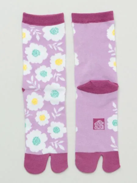 AOI TABI Socks 23～25cm